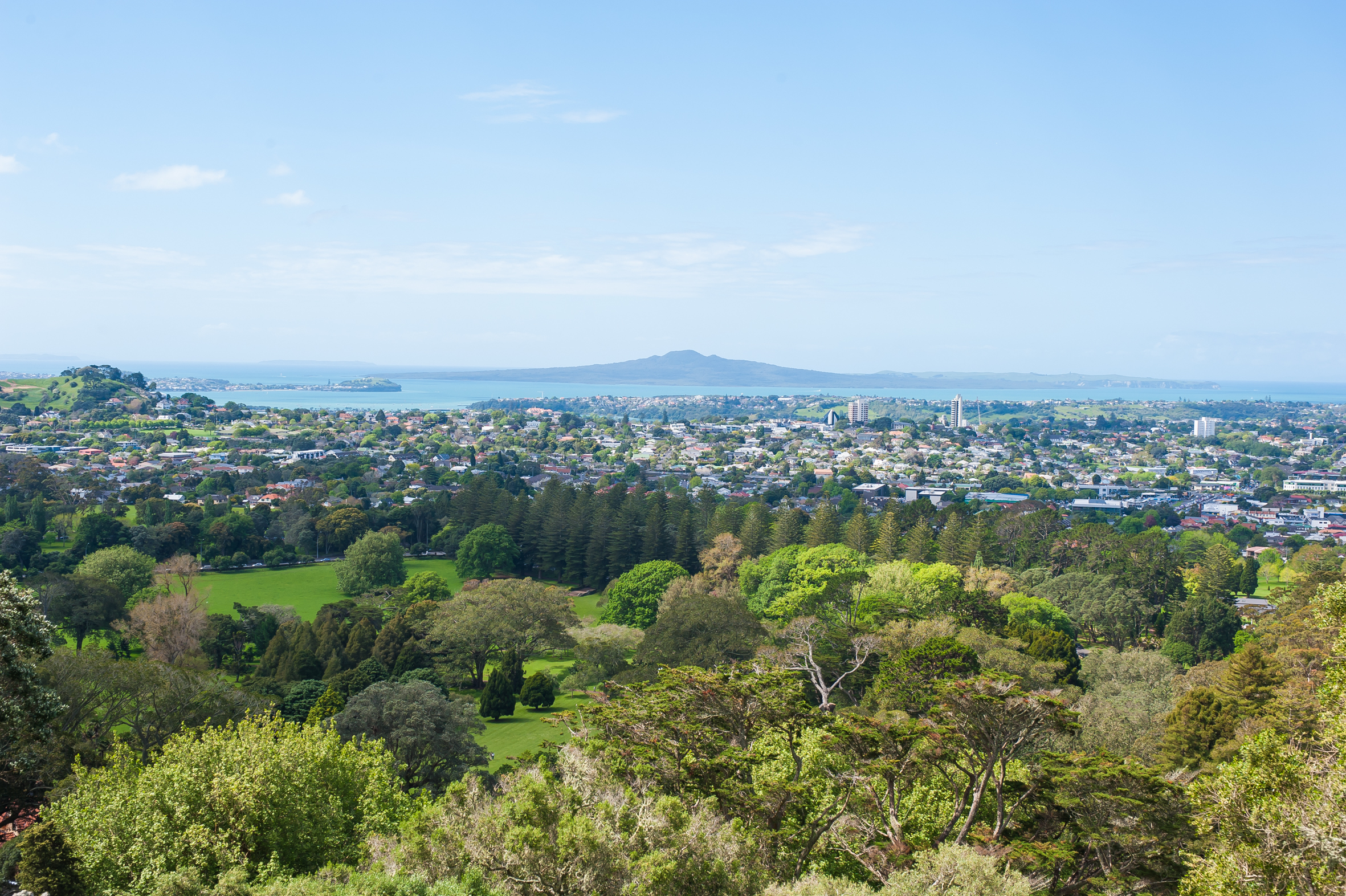 Looking over Cornwall Park towards Rangitoto.