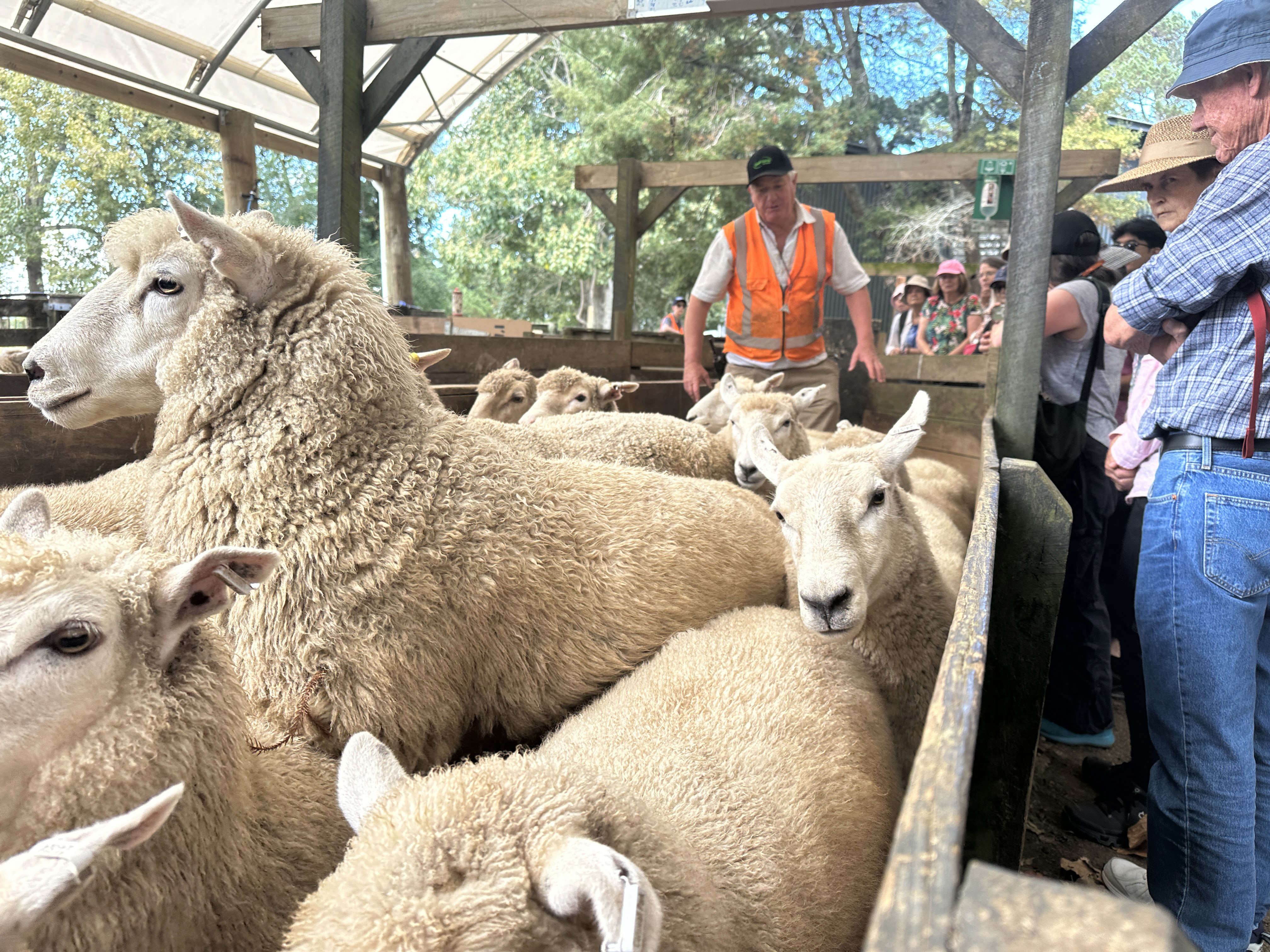 Farm Walk