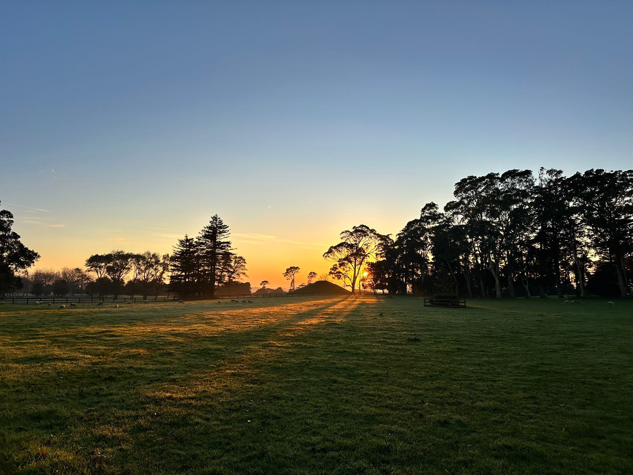 sunrise