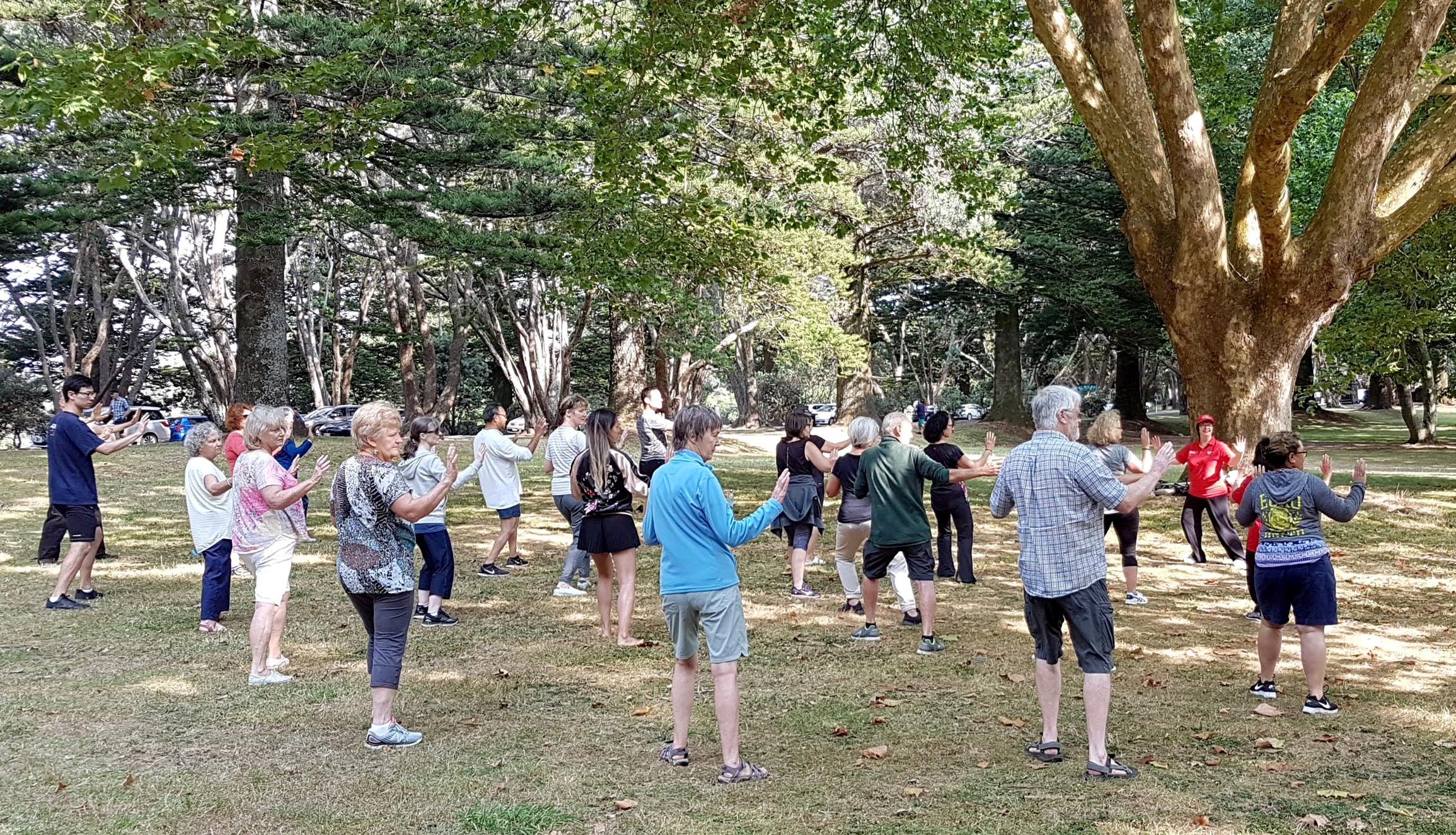 Tai chi