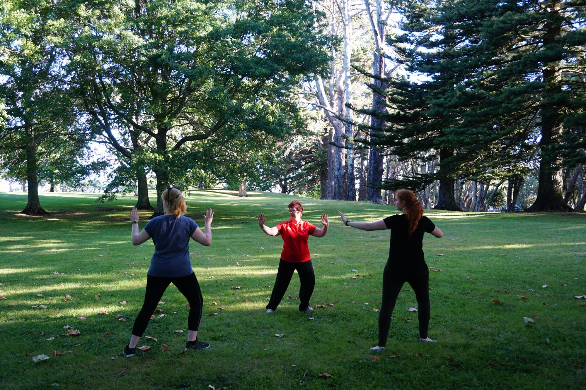 Tai chi 2017